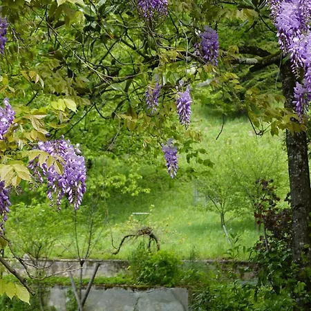 La Maison Des Jours Heureux *